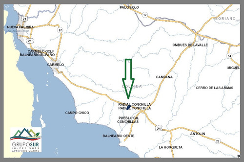 Venta Campo Conchillas. Colonia