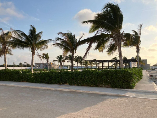 Terreno En Venta En Chelem, Privada Puerto Lindo, Progreso, Yucatán
