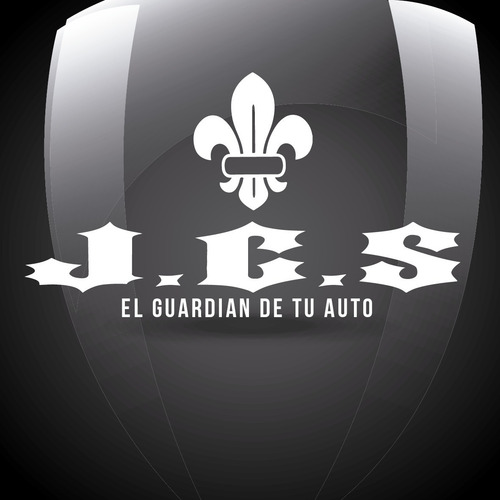 Imagen 9 de 9 de Llanta Aleacion Original Ford Ecosport R16+ Envio Gratis