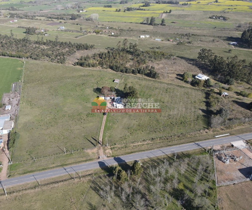 Imagen 4 de 21 de Chacra En Venta, 3 Has En Los Cerrillos, Casa Y Galones, Sobre Ruta!
