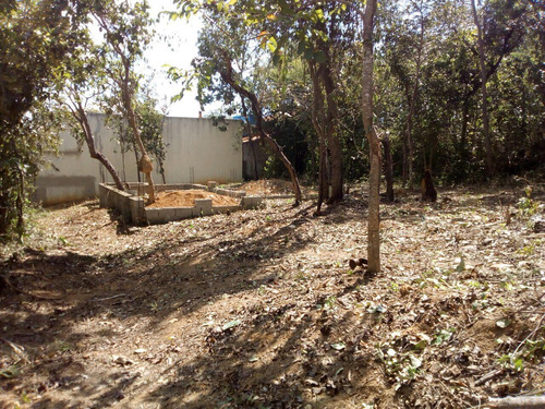 Imagem 3 de 12 de Lote Para Comprar No Centro Em Felixlândia/mg - 2183