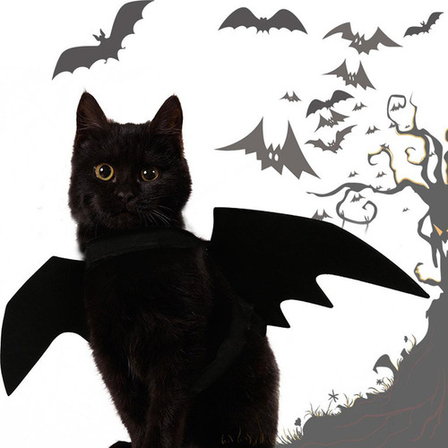 Para Disfraz De Murciélago De Gato, Alas De Murciélago De