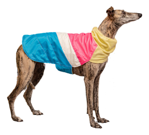 Capa Impermeable Elecant Para Peros | Abrigo Con Cuello Para Mascotas Talle Xs | Ropa Para Perros | Protección Para El Frío Y La Lluvia |