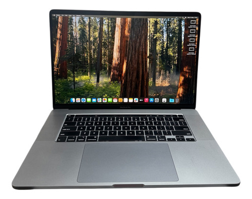 Macbook Pro (2019-16) I9 32gb 2tb Grade B - 8gb Vram 255 Cic Space Gray (Usado)