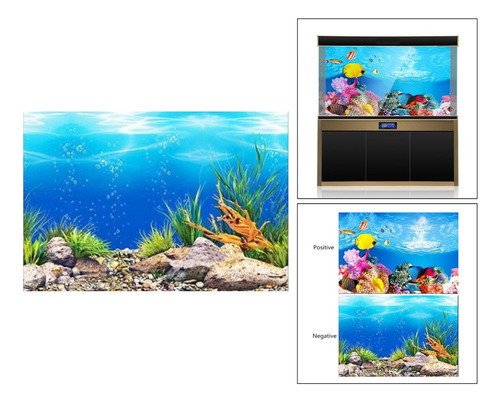 Fondo De Acuario De Doble Cara 50x82cm Tipo A - 50x82cm