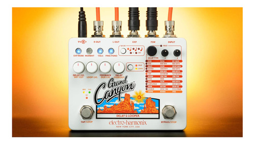Electro-harmonix Grand Canyon Delay & Loooper Pedal