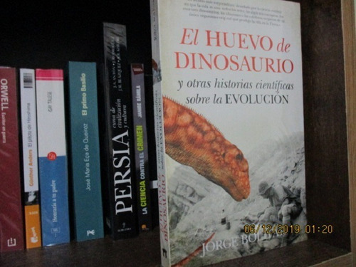 El Huevo De Dinosaurio Historia De La Evolución