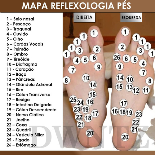 Bastão Reflexologia Podal Reflexoterapia Pé Ponta Em Círculo