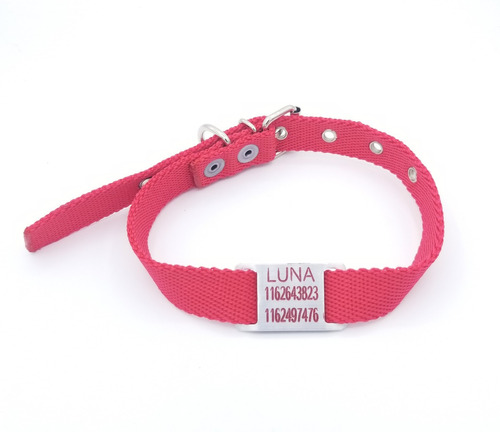 Chapita Para Perro Pasador Chico+collar Rojo+linea Extra