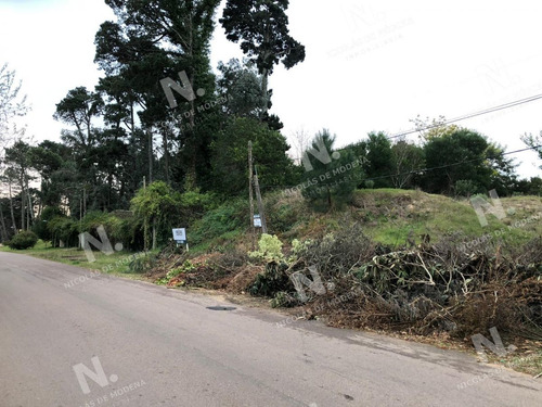 Imagen 3 de 8 de Terreno En Venta En Zona De Tranquilidad. - Punta Del Este Lugano