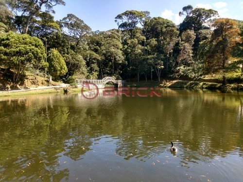 Imagem 6 de 18 de Ótimo Terreno Com 585 M² Em Condomínio No Comary. - Te00306 - 34751141
