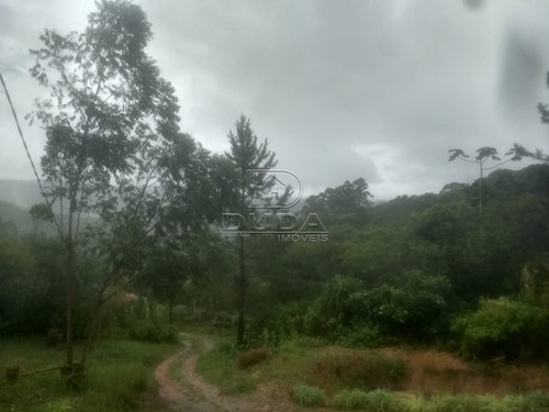 Imagem 4 de 6 de Area - Filomena - Ref: 31241 - V-31238