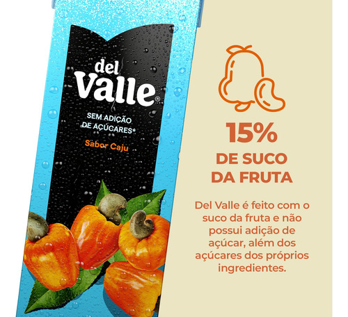 Suco Del Valle Caju Sem Açúcar Adicionado 1l Caixa 6 Un