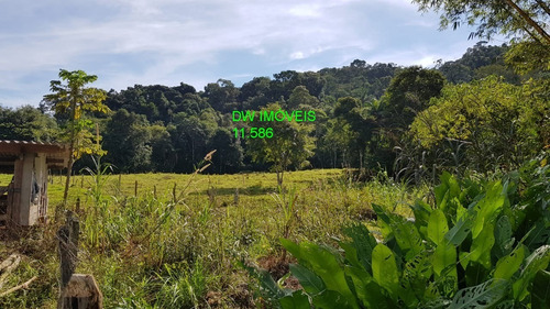 Imagem 24 de 30 de Juquiá/sitio Com Pupunha/ Pasto E 05 Lagos Para Pesqueiro - 04857 - 34121206