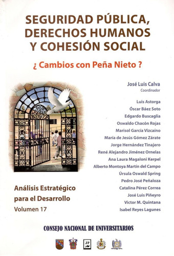 Seguridad Publica Derechos Humanos Y Cohesion Social Vol. 17