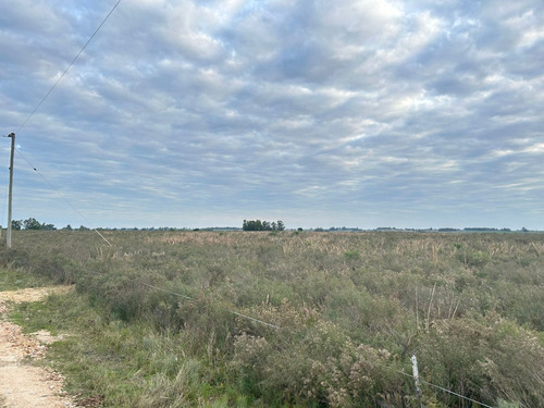Imagen 4 de 4 de Campo A Mts De Ruta 7 - Tala