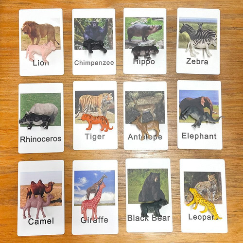 Tarjeta A Juego De Animales Mixtos De Pájaros, Insectos Y Av