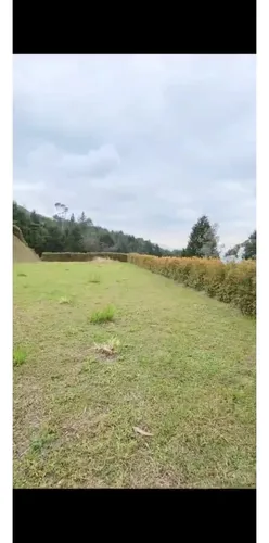 Rhbr-14476 (lote) (guarne, Vda. Montañez)