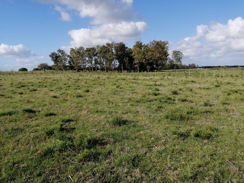 Vende Campo En Ruta 7 Km 70