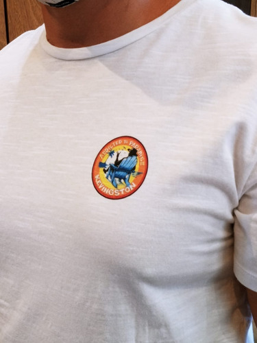 Imagen 3 de 3 de Remera Flame Estampada Kevingston