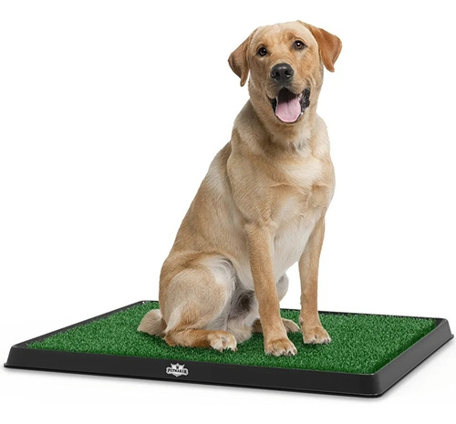 Alfombra De Baño Para Perros Y  Mascotas Petmaker 25x20 PuLG