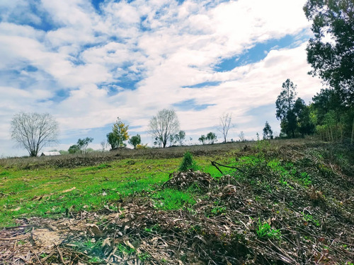 Se Vende Terreno Camino Las Rasras Km 24