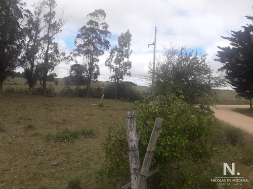 Campo De 12 Has En Paraje José Ignacio. Consulte !!!!!