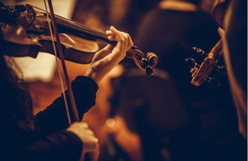 Set De Cuerdas Para Violín Profesional Rotosound Rs6000