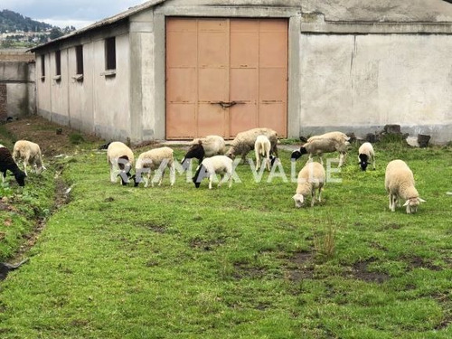 Imagen 2 de 9 de Rancho En Venta