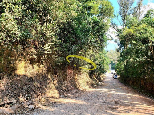 Imagem 12 de 22 de Área À Venda, 20000 M² Por R$ 8.000.000,00 - Chácara Roselândia - Cotia/sp - Ar0205