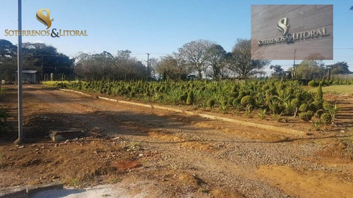 Imagem 7 de 15 de Chácara ¿ Suzano -sp - Chácara A Venda No Bairro Suzano - Suzano, Sp - 247