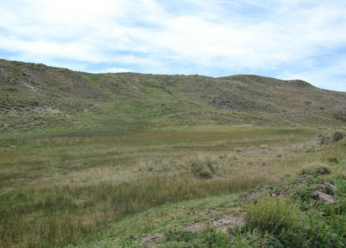 Campo Zona Perito Moreno Sta Cruz 26.000 Hectareas