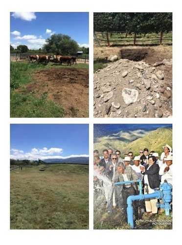Imagen 4 de 4 de En Venta 1.800 Ha Campo El Salto San Luis