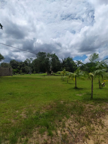 Imagem 14 de 16 de Chácara À Venda, Aurá, Ananindeua, Pa - Pa - Ch0001_four
