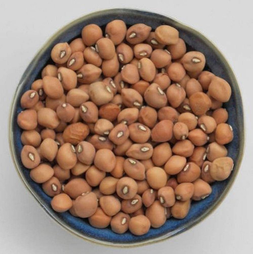Davids Garden Seeds Southern Pea (cowpea) Mississippi Purpl