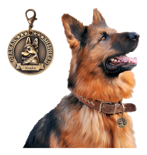 Placa Perro Personalizada Inoxidable Razas Medalla Grande Color Pastor Alemán