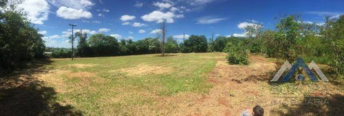 Imagem 5 de 6 de Terreno À Venda, 5000 M² Por R$ 600.000,00 - Distrito Espírito Santo - Londrina/pr - Te0507