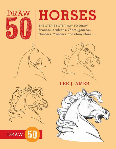 Libro: Draw 50 Horses: The Step-by-step Way To Draw Broncos,