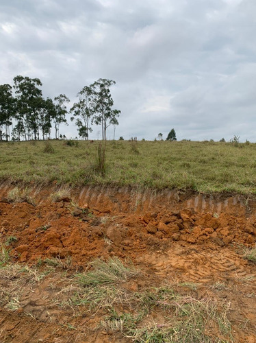 Imagem 13 de 14 de G20- Lotes Com Nascente 5.000m2 Este Fim De Semana 99mil !!