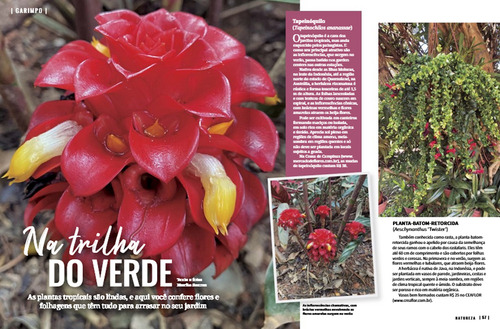 Revista Natureza 400, de Editora Europa. Editorial Editora Europa Ltda., capa mole em português, 2021
