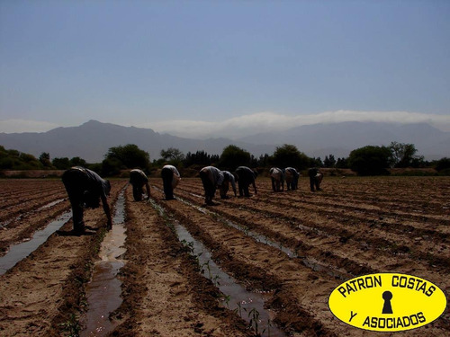 2071hp 100 Has Finca C/riego Y Hosteria. Valles Calchaquies