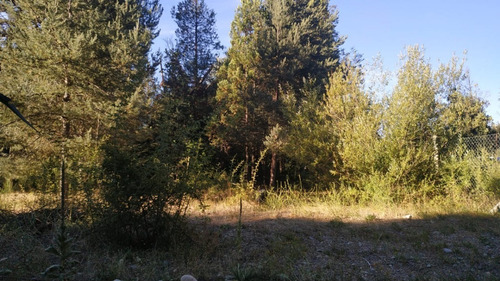 Imagen 2 de 12 de Terreno 450 Mt2 Lago Puelo Con Arboles Autoctonos Cercado