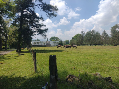 Terreno Campestre A La Venta En Frac. Manantial , Xalapa, Veracruz