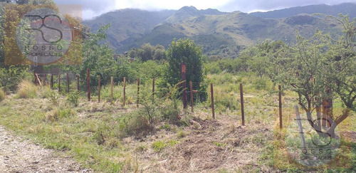 Imagen 3 de 30 de Terreno - Rincon Del Este