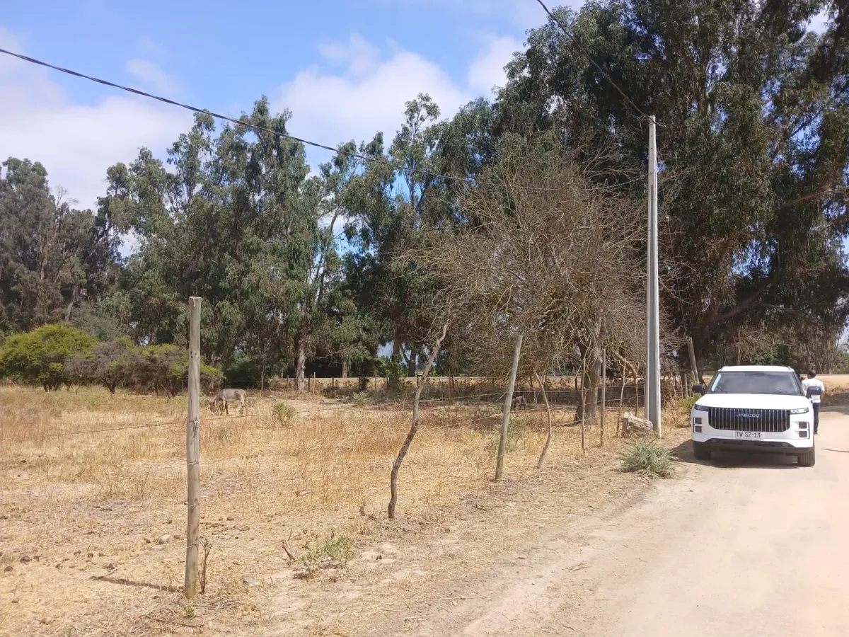 Imagen 4 de 19 de Se Vende Terreno Plano De 5000 Mt Con Rol A Pasos De La Carr