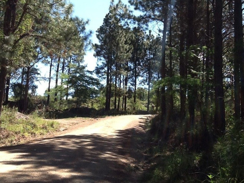 Imagen 1 de 2 de Venta Fraccion En Villa Berna