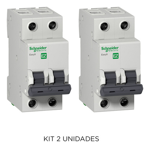 Kit 2 Interruptores Termomagnéticos Easy9 2p6a6ka Schneider