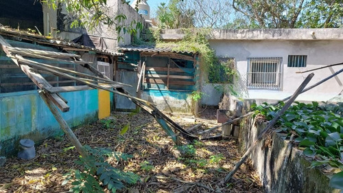 Bodega En Renta En Conkal