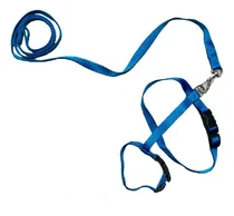 Comprar Cinto De Segurança Gato Viagem Passeio Cachorros Gato Pets