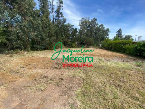 Terrenos Venta - T101418